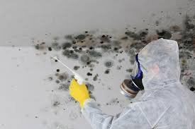 Best Mold Removal for HVAC Installations  in Oriska, NY